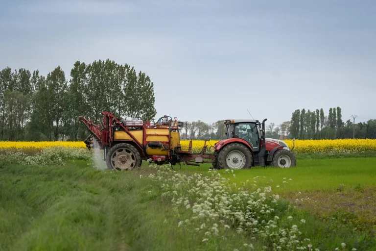 Woda toaletowa męska: kiedy EDT jest lepsza niż woda perfumowana